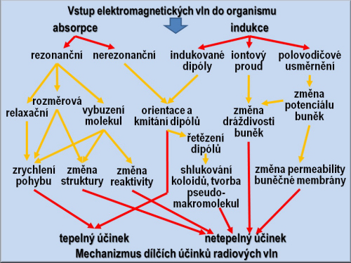 Elektrosmog -schema vlivu emp