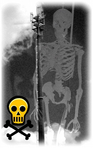 elektrosmog aktivity ve světě