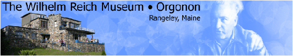 www.orgon.com